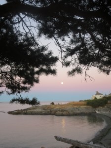 Full Moon, June 2015