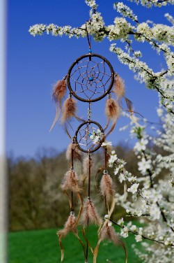 dream cutcher