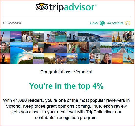 Trip adviser